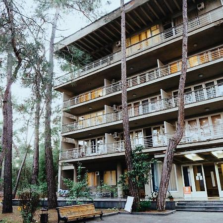 Gosdacha Ldzaa Hotell Lidzava Exteriör bild