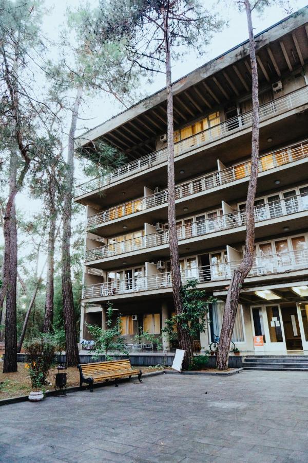 Gosdacha Ldzaa Hotell Lidzava Exteriör bild
